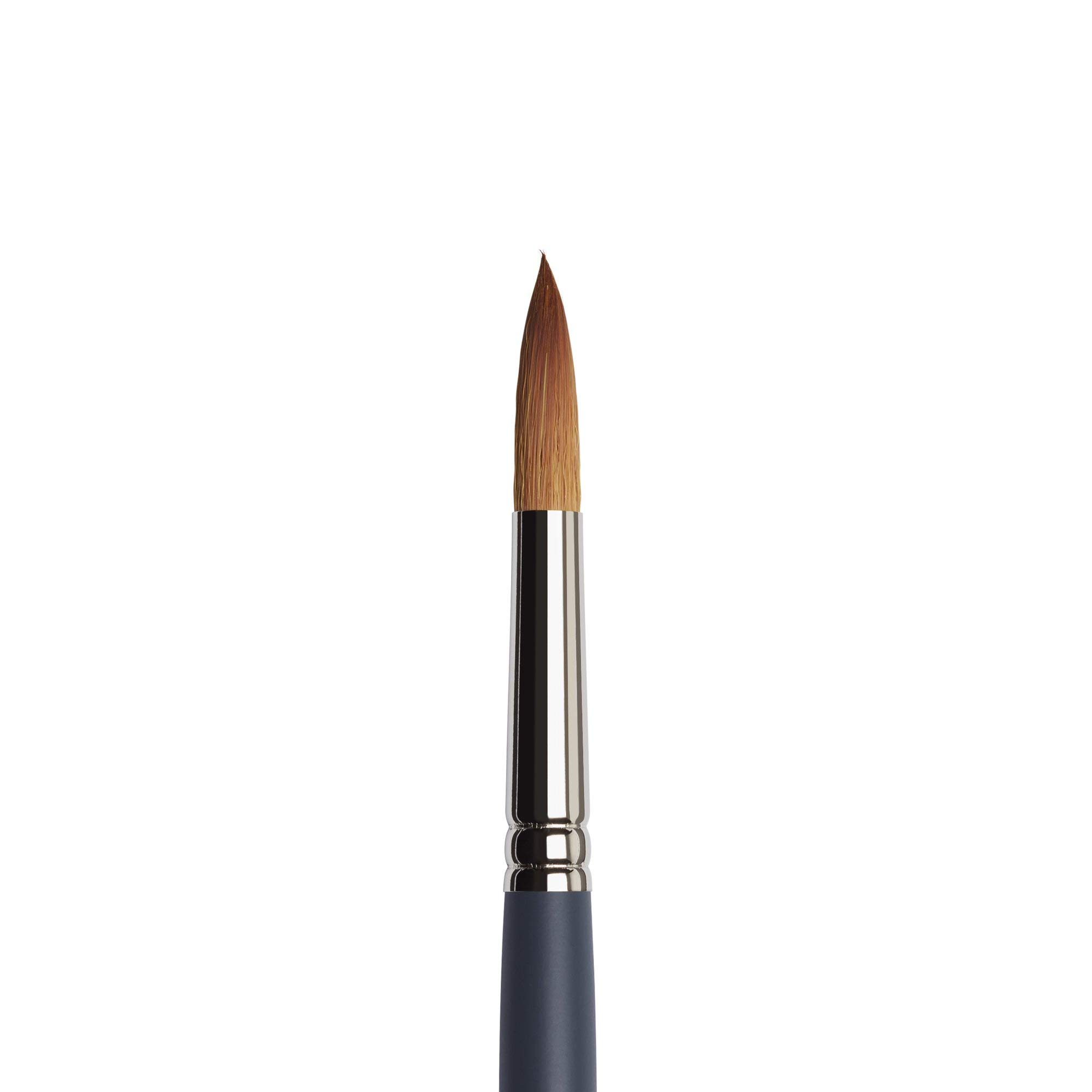 Winsor & Newton Professional Water Colour Synthetic Sable Hair Brush - Round - Short Handle - Size - 12 - Image 2 thumbnail