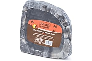 Fluker's Corner Rock Bowl: The Ultimate Dining Spot for Hermit Crabs