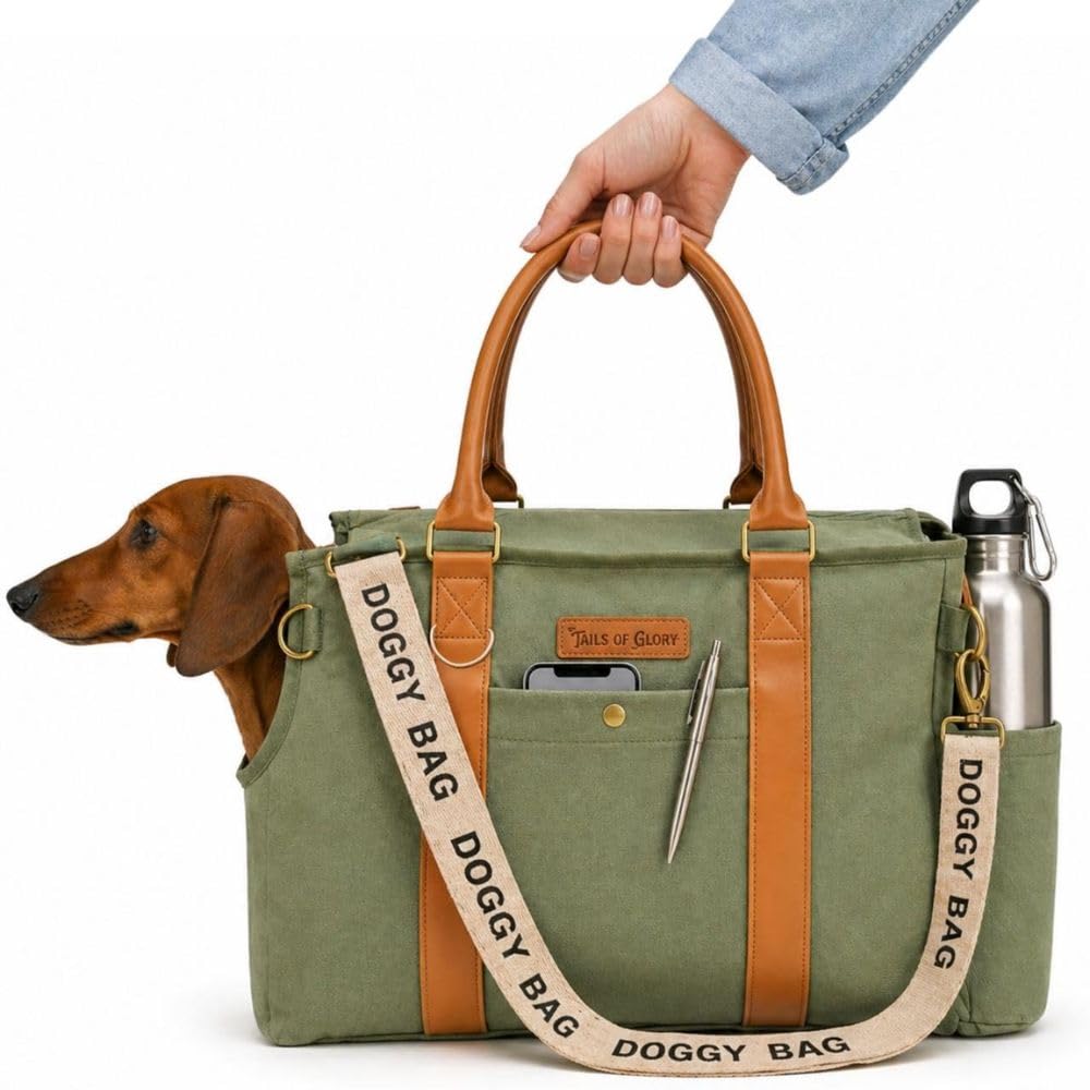 Jane Hundetasche Grün – Stilvolle Hundetransportbox für kleine Hunde bis 8 kg, Faltbare Transportbox Hund fürs Auto, Reisen & Alltag