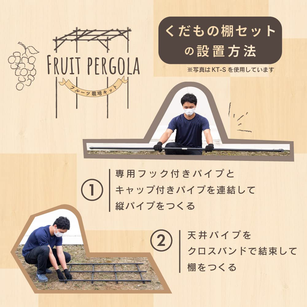 【新品❣️未使用‼️未開封‼️】果物棚セット パーゴラ　キウイ棚　葡萄棚　藤棚 Amazon | daim パーゴラ 果物棚 セット 幅180cm 奥行180cm 高さ