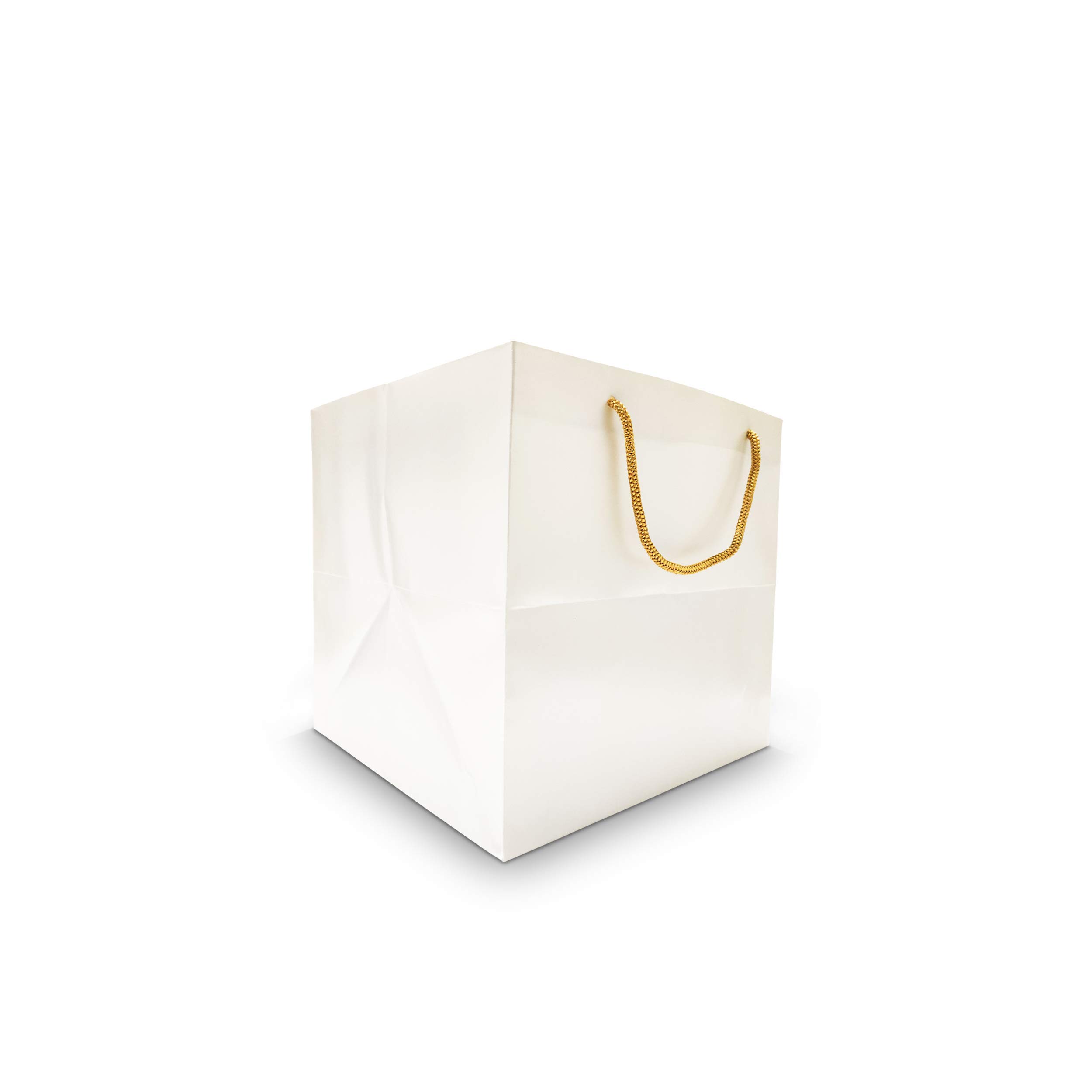 Udbhav Iddien Pearl Metalize Paper Bag Pack of 50 Size : [10 x 10 x 10] Special For Cake Bag Chocolates box Bag Dry Fruits Box Bag Jar Box Bag Perfume Box Bag Gift Article Box Bag Beauty Product Bag (50)