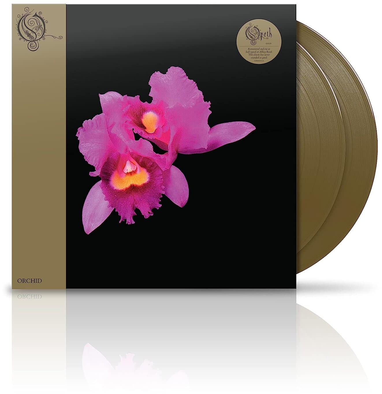 Orchid