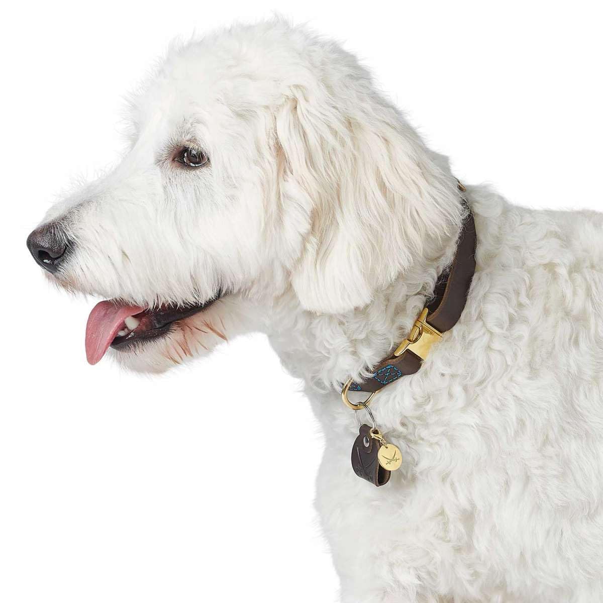 HUNTER Sansibar Dog Collar Colour: Dark Brown, Elegant Cowhide Leather, Maritime Details, Blue Decorative Stitching - Image 4
