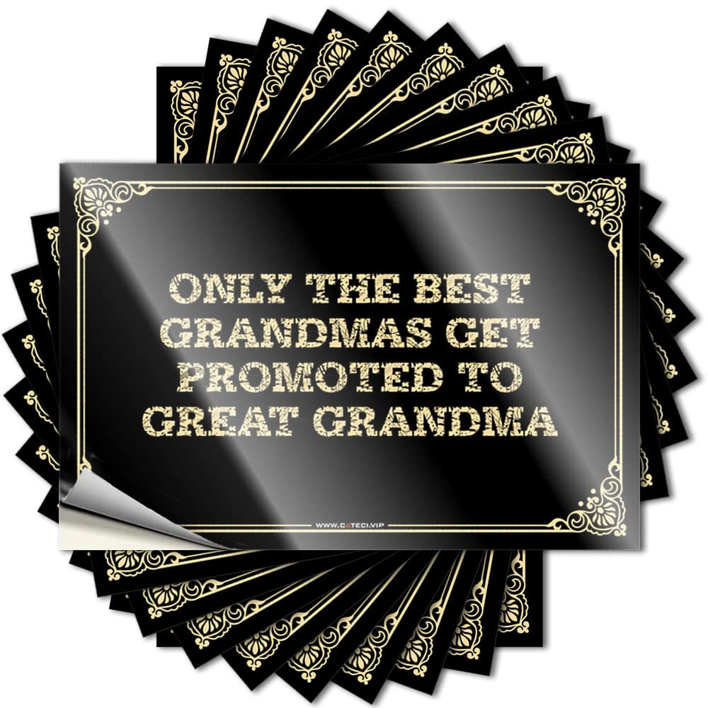 Backyard Decor Bottle Tattoos | Only The Best Grandmas Get Promoted to Great Grandma Cats for Western Decor(6X9CM)