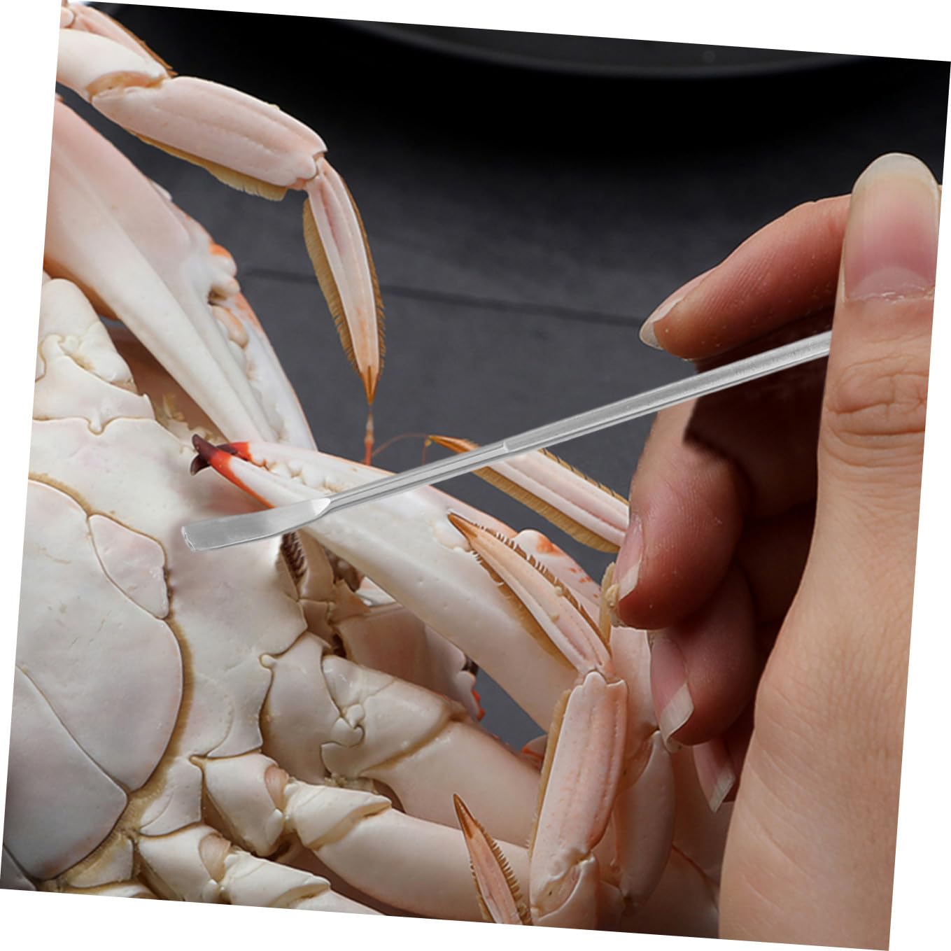 VALICLUD Set Utensili Granchio 1 Pezzo in Acciaio Inox per Frutti di Mare | Apri Guscio e Raccogli Carne Dai Punti Difficili, Adatto a Ostriche e Pasti di Pesce