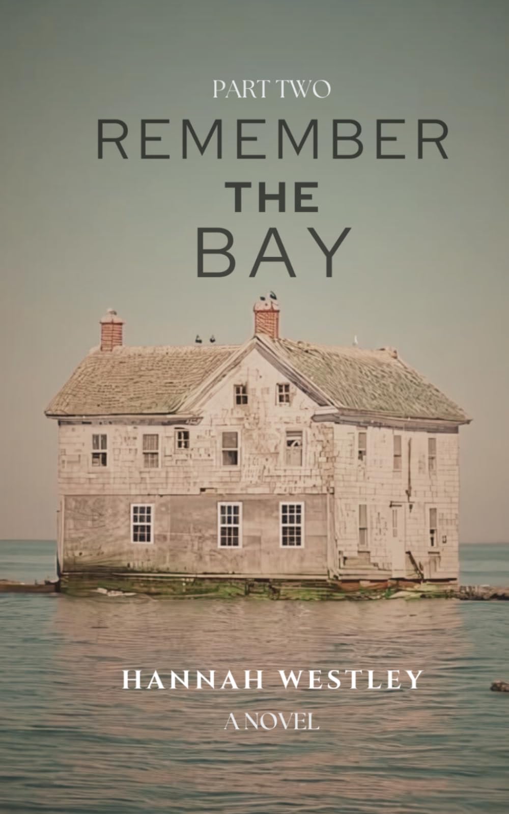 Remember the Bay: Book Two (Holland Island)