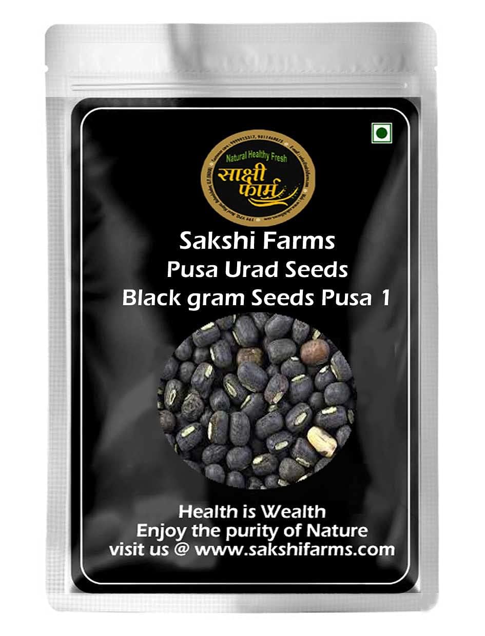 Urad Seeds | Black gram Seeds Pusa 1 Variety | Vigna Mungo உளுந்து,उड़द दाल,ഉഴുന്ന്, మినుములు For Sowing, Farming & Agriculture (Kheti) | 1kg-image-48