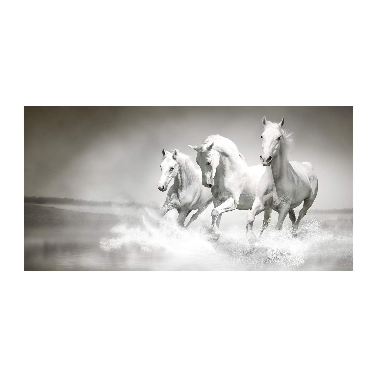 Tableau chevaux blancs Tulup 140x70 image verre plastique acrylique déco mural