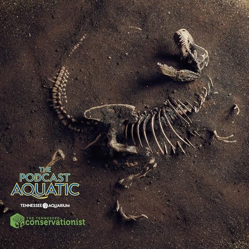 Mic Droplet: Is Extinction Provable?