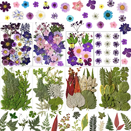 Flores prensadas secas naturales 176 piezas para manualidades miniatura 1