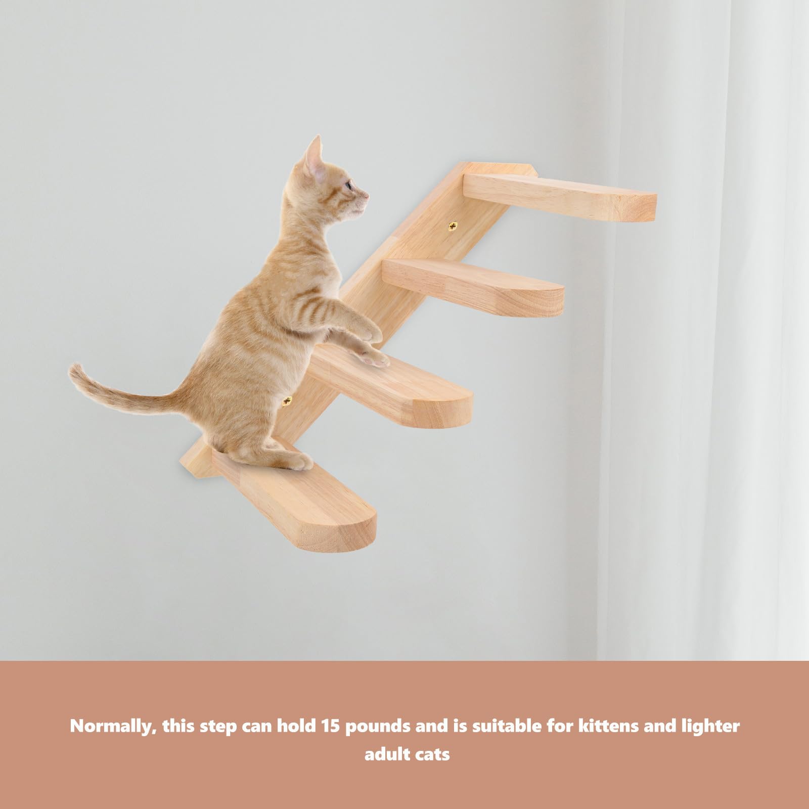 Homoyoyo Katzenwandtreppe Katzenregal Kletterbrett für Katzen Khaki 15lb für Hauskatzen und Kätzchen für Innenbereich