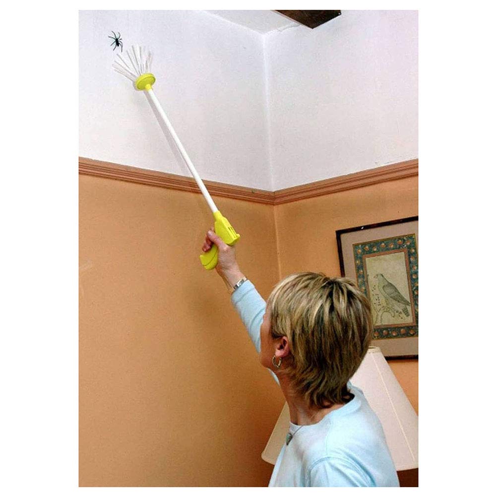 IMPRESSED Insect Clean Spider Free 5 Liter (concentraat