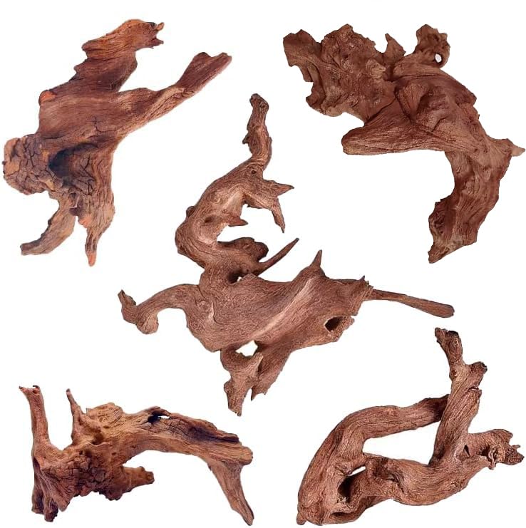 Madeira natural Mopani para aquário e terrário Jorewood, galhos retorcidos, pacote com 5