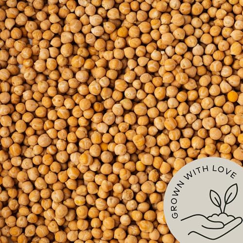 Image of Organic Chickpeas Garbanzo Beans Dry 2.8 lb - Dried Chick Peas - Great Protein for Tofu, Tahini - Similar to Soy Beans | USDA Certified | Vegan | Non-GMO | Gluten Free