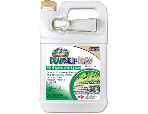 Best Captain Jack's Deadweed Brew: Comprehensive Guide and Reviews