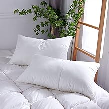 Pillow Throw Inserts Polyester Square Form Decorative Pillow, Cushion,Sham Stuffer - 2-Pack (12x20 in)