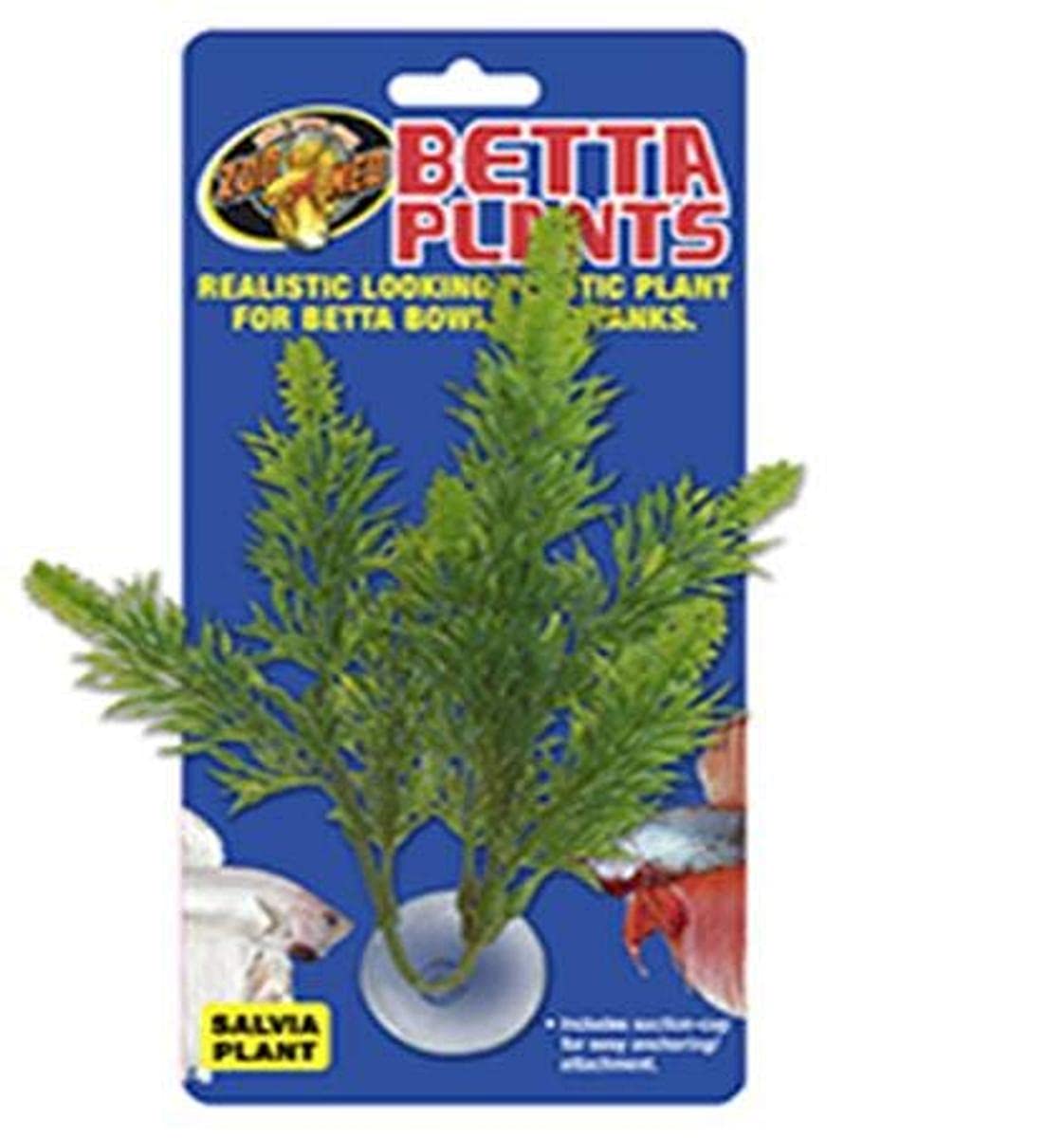 Zoo Med Laboratories AZMBP23 Betta Plant Salvia