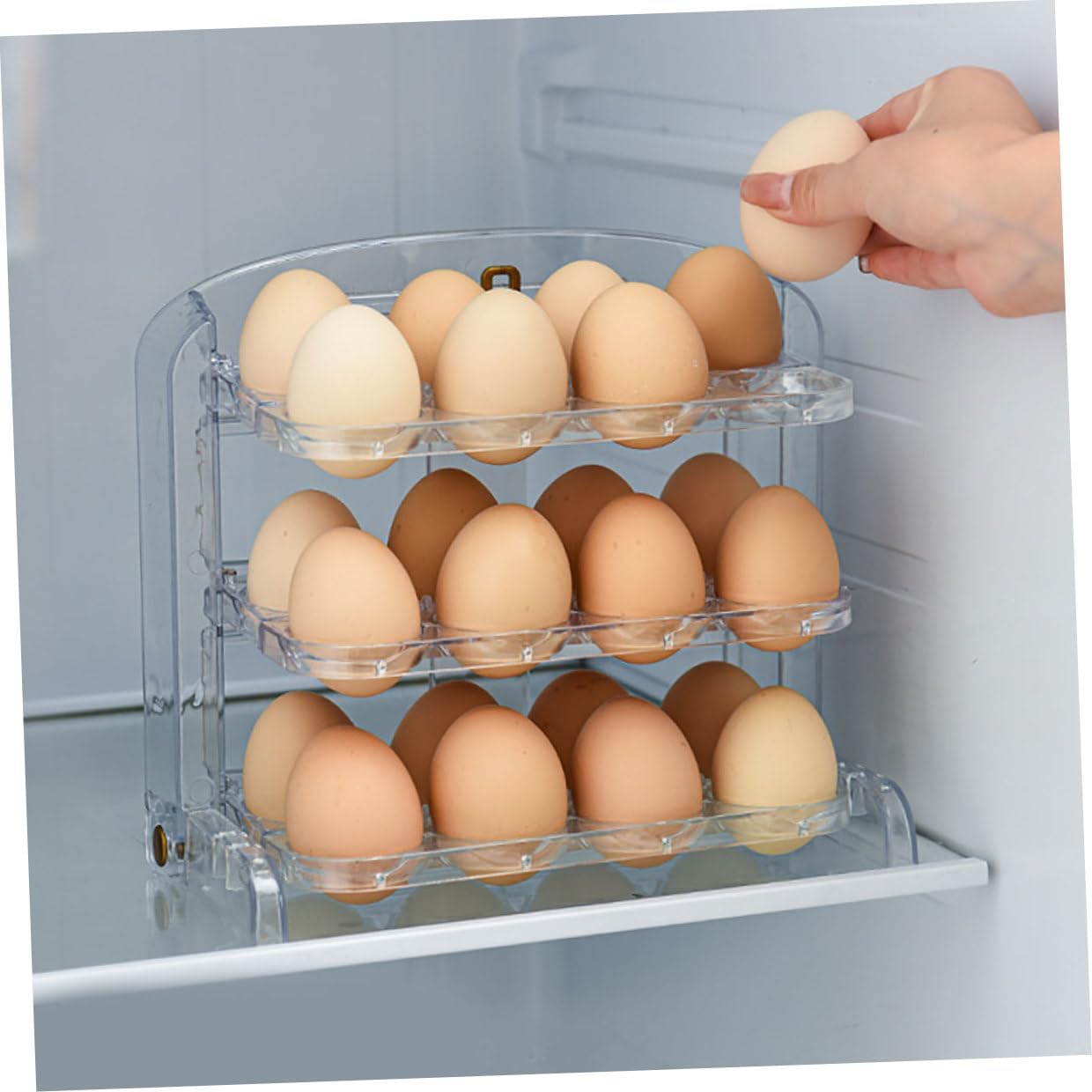 Egg Storage Tray Freestanding Plastic Egg Holder Refrigerator Organizer Rack for Kitchen Storage