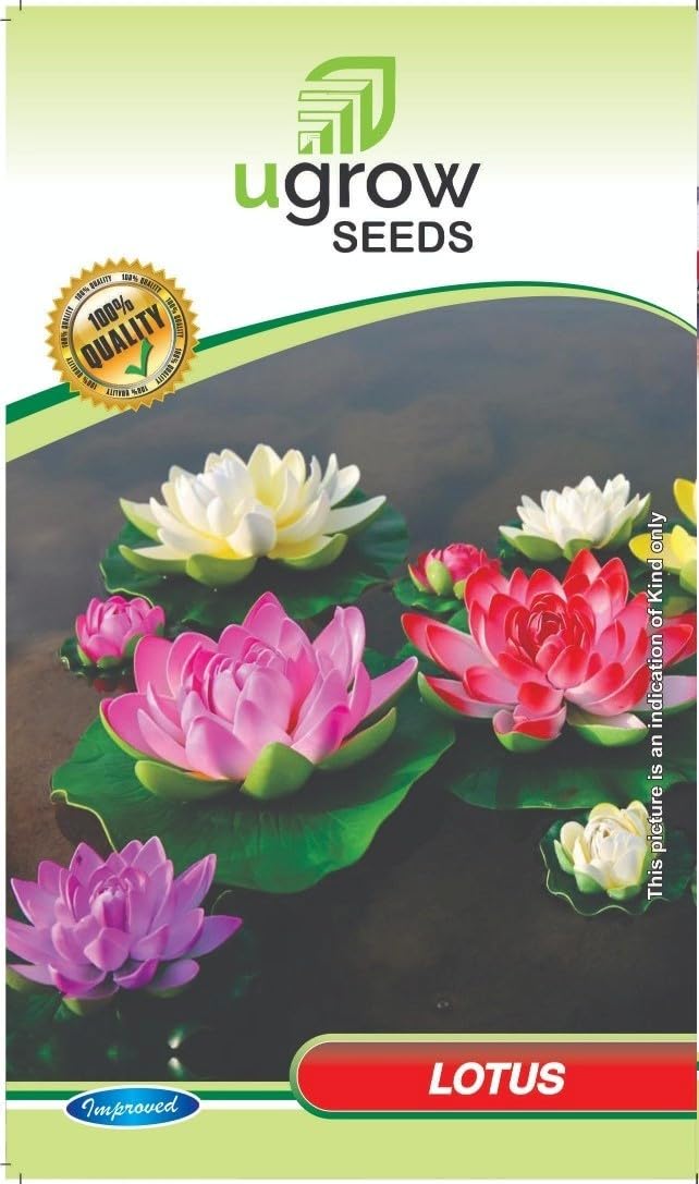 See full amazon price history chart for U-GROW INDIA PINK LOTUS FLOWER SEEDS (20 SEEDS/PACKET) U-GROW INDIA PINK LOTUS FLOWER SEEDS (20 SEEDS/PACKET) (B0929CTJ2Z) Amazon Price History, Amazon Price Tracker