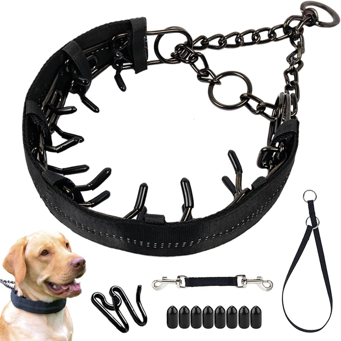 Martingale Prong Collar for Dogs, Reflective Pinch Collar