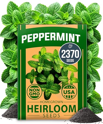 Image of HOME GROWN Non GMO Peppermint Seeds Pack 2,370 Heirloom Mint Seeds for Planting. Grow Peppermint Plants in Your Herb Garden Indoors or Outdoors (Mentha x piperita)