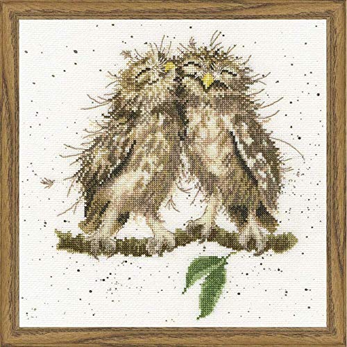 Bothy Threads Cross Stitch Kit - Wrendale Designs - Birds of A Feather