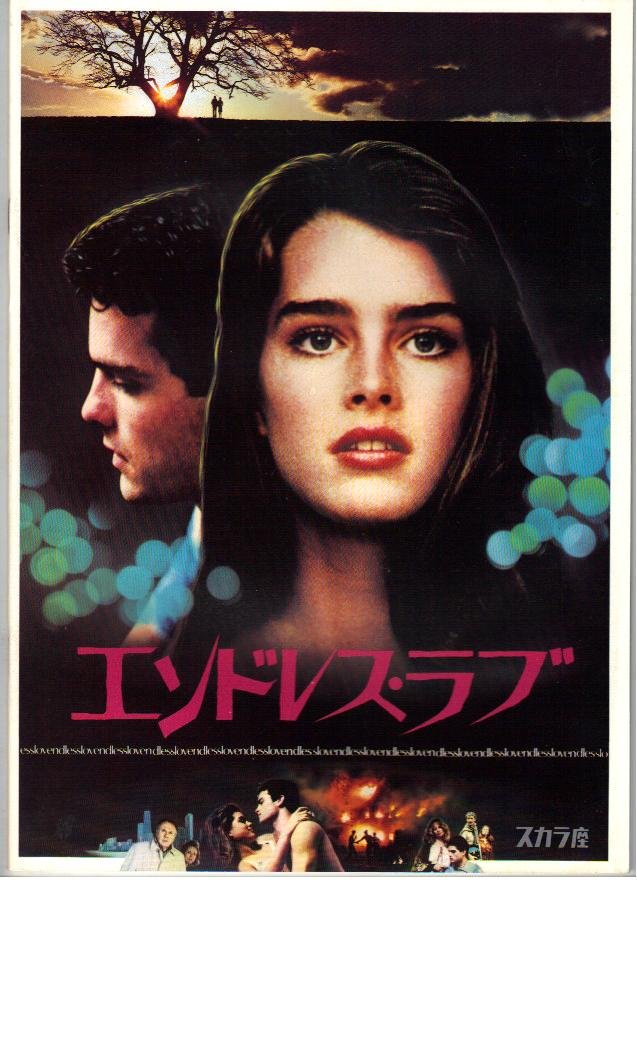 Amazon.co.jp: 映画パンフレット 「エンドレス・ラブ」 出演