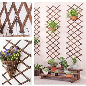 Wooden Lattice Wall 2Pack-Expandable Plant Garden Trellis for Climbing Plants Outdoor Air Plant Vertical Rack Wall Decor for Room Patio Wooden Lattice Wall 2Pack Expandable Plant Garden Trellis for Climbing Plants Outdoor Air Plant Vertical Rack Wall Decor for Room Patio