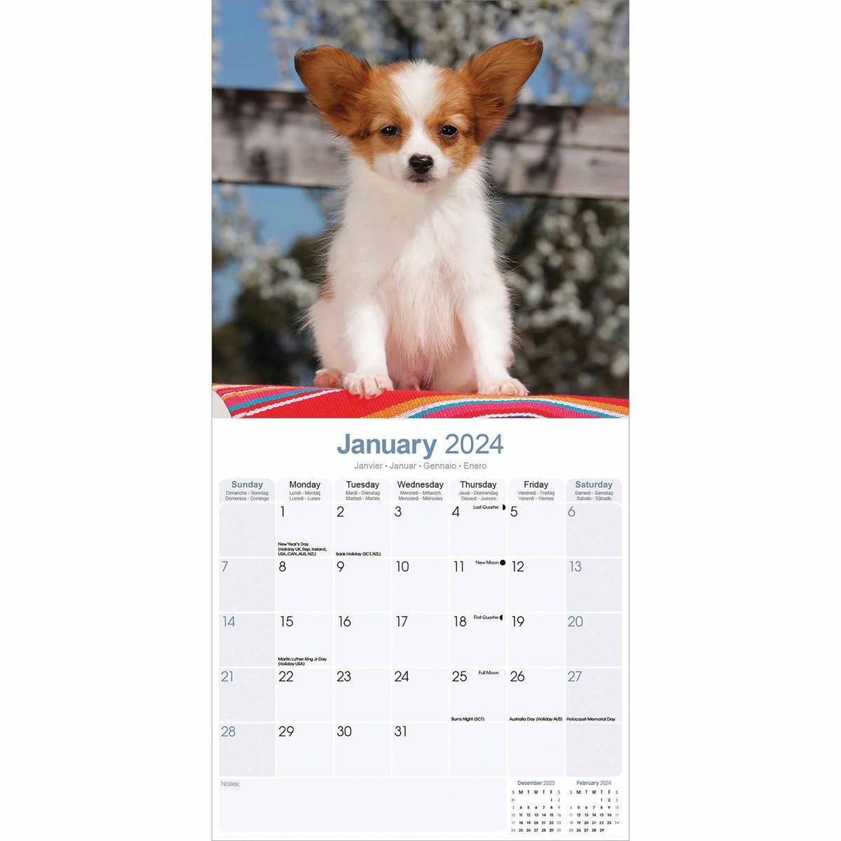 Papillon Calendar 2024 - Image 3