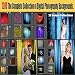 1200 Digital Backgrounds Photography Backdrops 28 Unique Collections