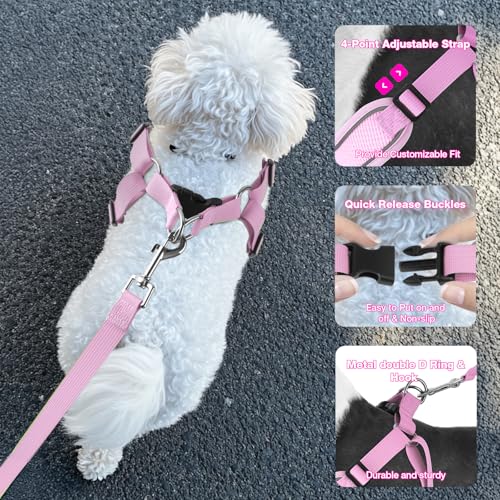 Feycig Hundegeschirr Kleine Hunde, Anti Zug Einstellbar Reflektierend Geschirr, Atmungsaktiv Weiches aus Mesh Geschirr Hund Leichtes Welpengeschirr Brustgeschirr mit Griff (Rosa, Small)