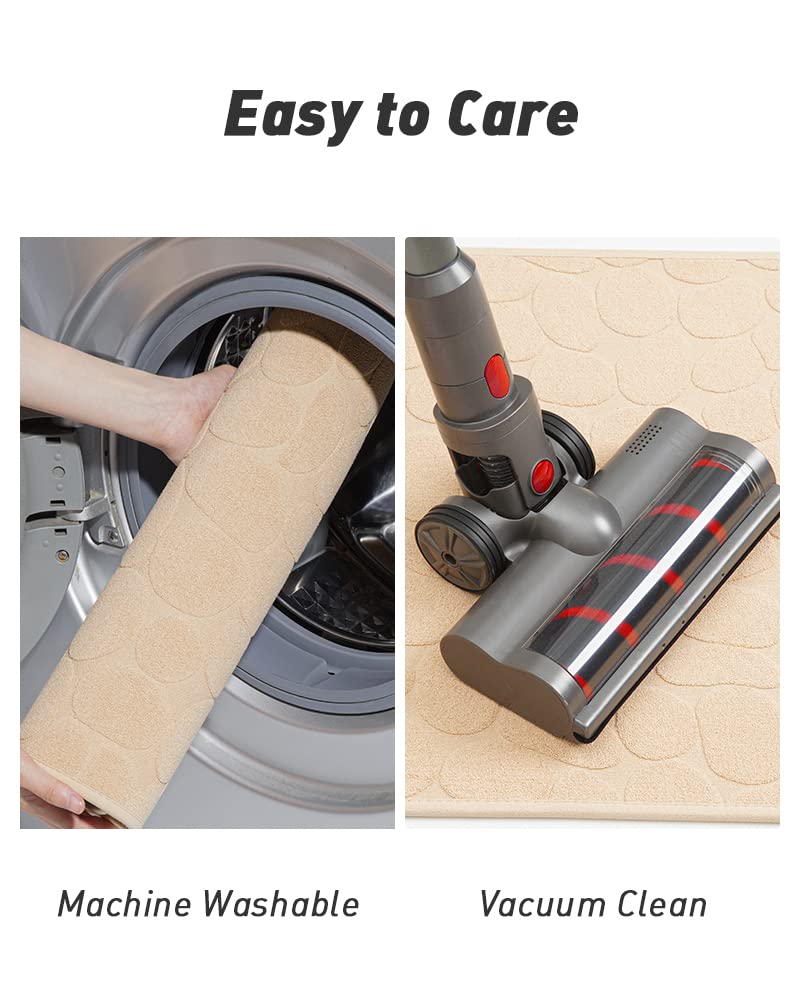 https://m.media-amazon.com/images/I/61gAbBEtZiL.jpg