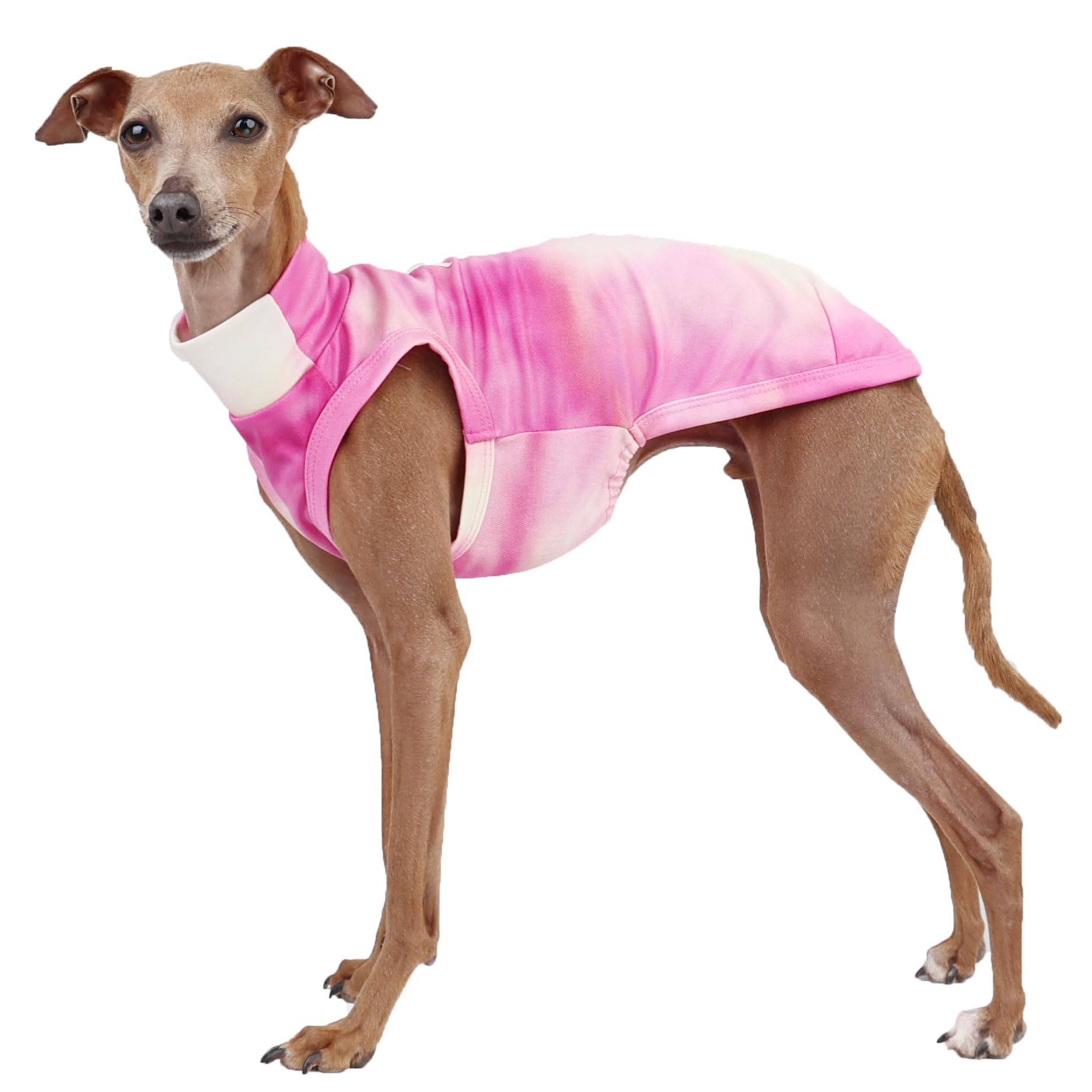 D Doggy Star Italian Greyhound Clothes Summer Cool T Shirts Rashguard Swimsuit Whippet for Dogs (L,Cool Stained Pink) โ image 1