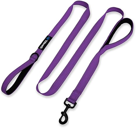 Tifereth dog leash Clearance
