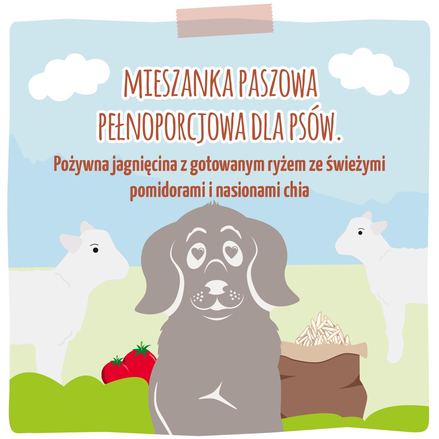 MjAMjAM - Mokra karma Premium dla psów - Soczysta jagnięcina na gotowanym ryżu ze świeżymi pomidorami i nasionami chia, 6-pak (6 x 400g), bezzbożowa z dodatkowym mięsem