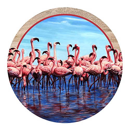 Thirstystone Drink Coaster Set, Flamingos
