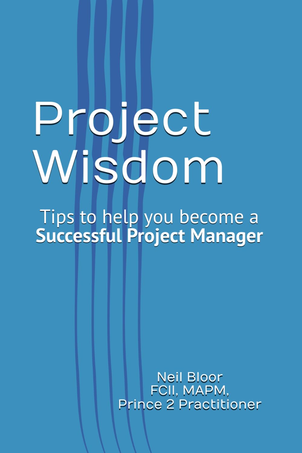 Project Wisdom: Tips to help you become a Successful Project Manager