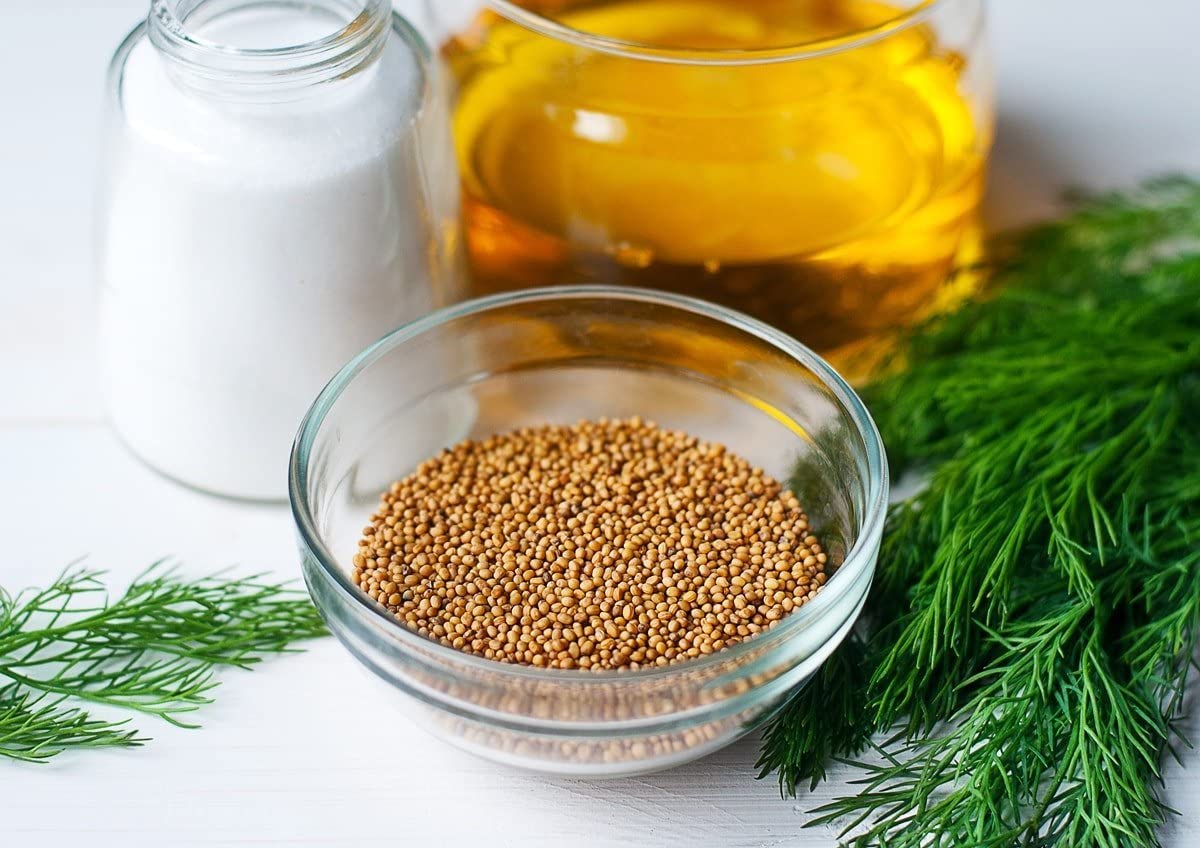 Food to Live Yellow Mustard Seeds, 20 Pounds - Whole Spice, Vegan, Kosher, Bulk. Spicy, Pungent Flavor. Rich in Selenium, Fiber