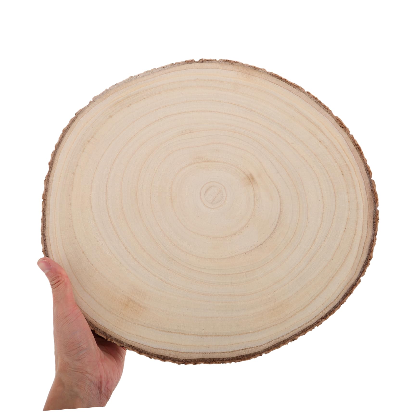 2 Stück Ungebeizte Holzscheiben zum Selbermachen mit Rinde | Beige, Holz, für Malerei und Vielseitige Nutzung, Geeignet für Profis und Anfänger, Bastelbedarf