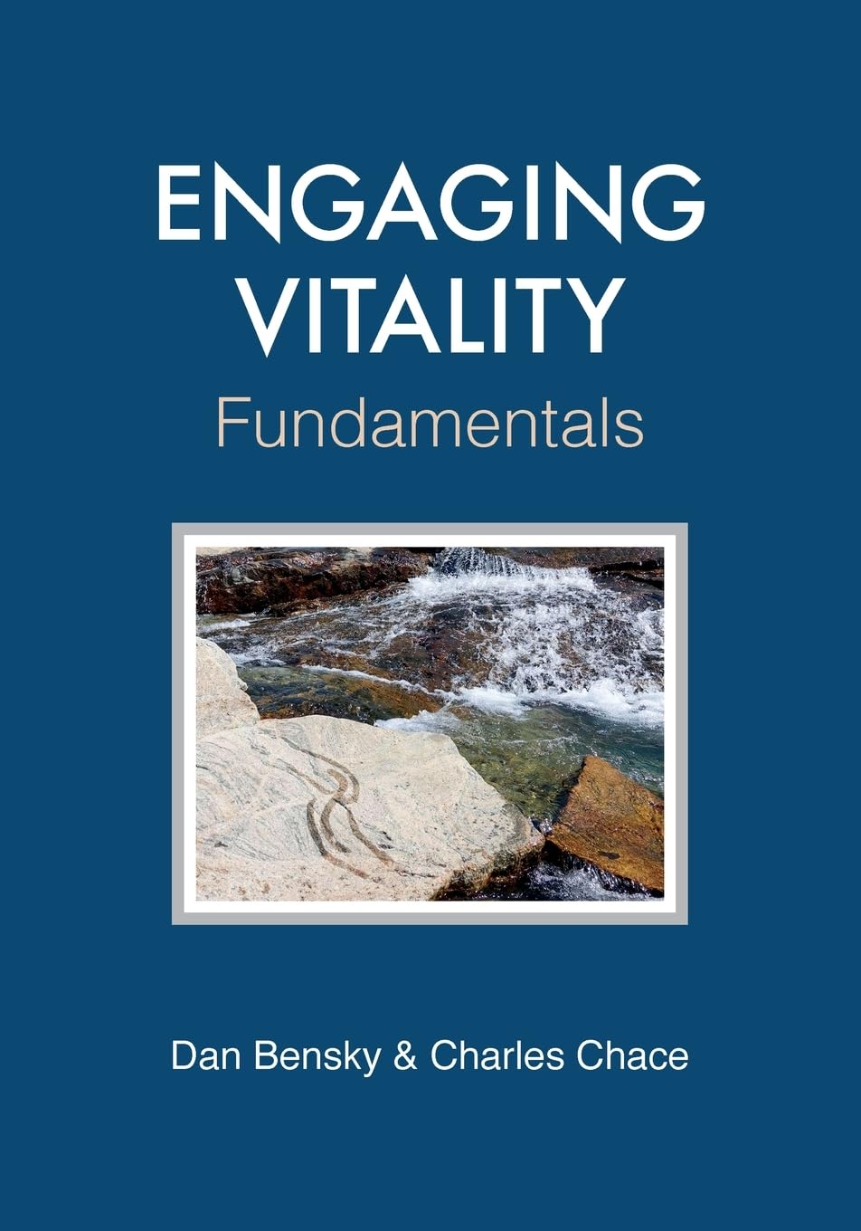 Engaging Vitality: Fundamentals