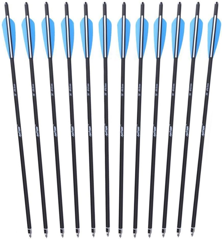 ANTSIR 20" Hunting Archery Carbon Arrow Crossbow Bolts Arrow with 4" vanes Feather and Replaced Broadhead/Tip(Pack of 12)