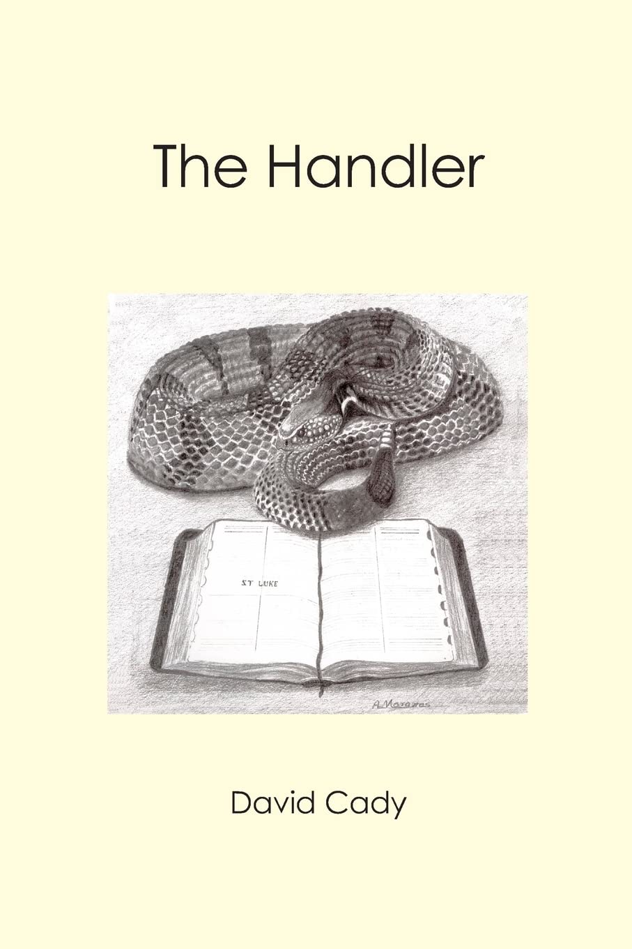 Booksurge Publishing The Handler