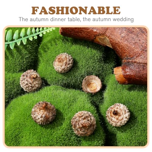 50 Piezas Cáscaras Naturales de Bellota para Manualidades miniatura 6
