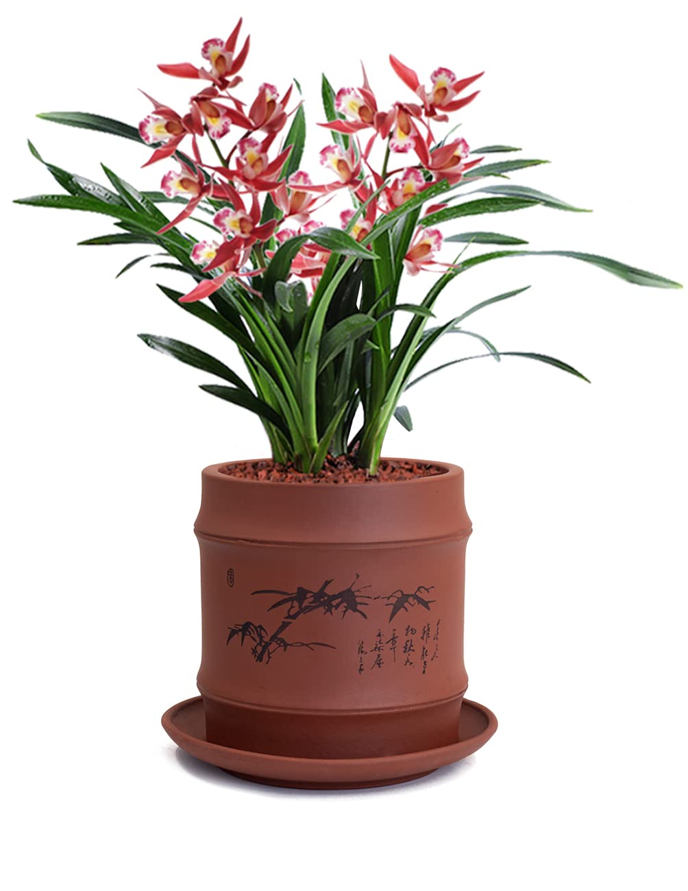 Dahlia 3.8 Inch Bamboo Zisha Cylinder Bonsai Planter