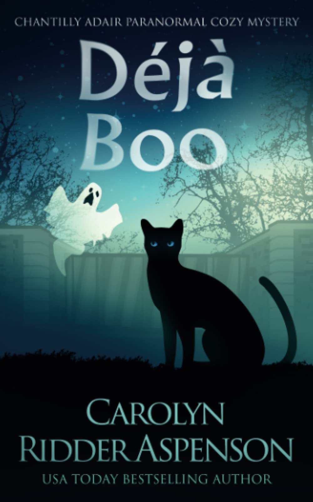 Buy Déjà Boo: A Chantilly Adair Paranormal Cozy Mystery — BookShops.in