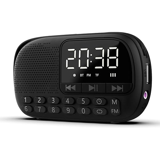 PAGARIA Walkie Alarm Clock FM Radio