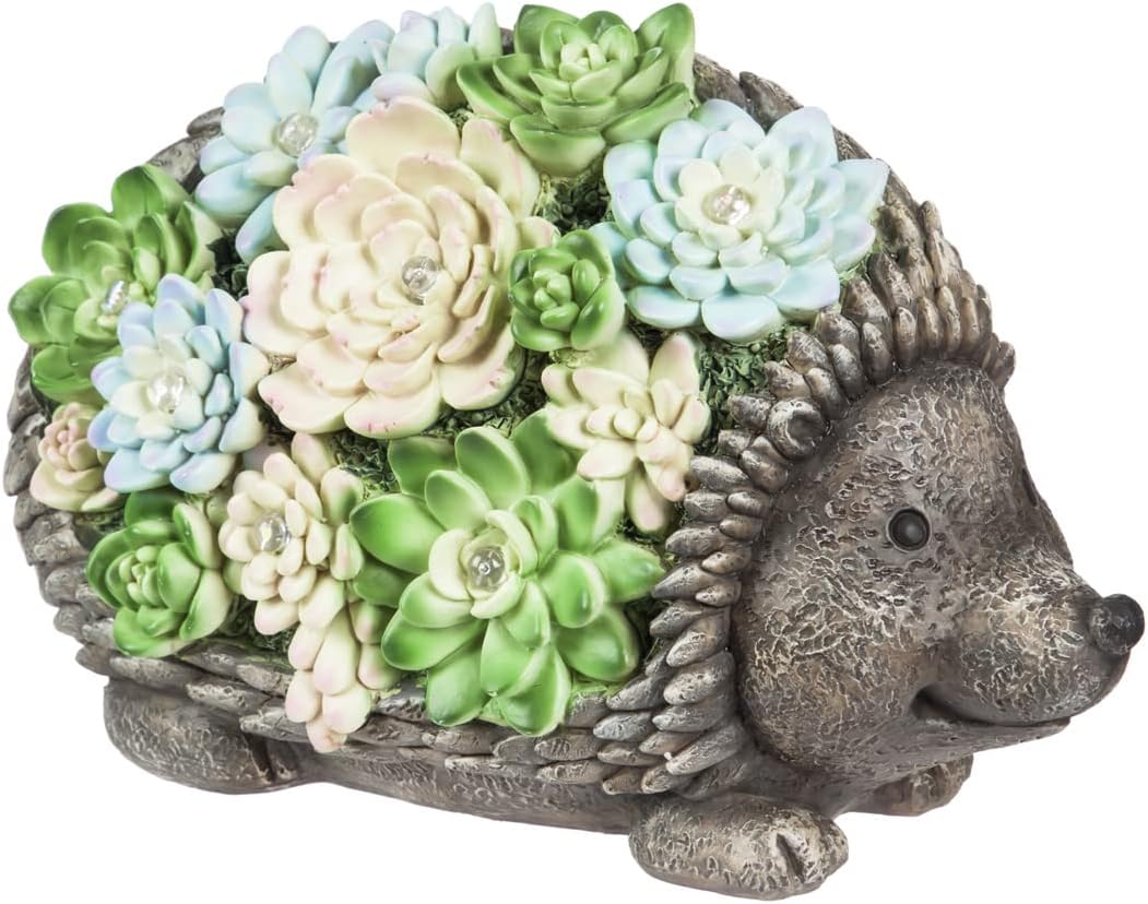 Evergreen Garden Solar Resin Succulent Hedgehog