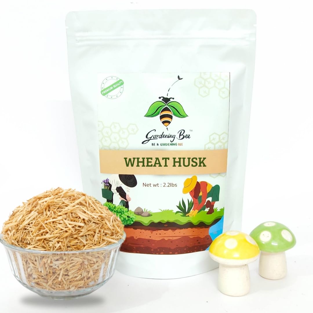 Wheat Husk Straw for Gardens (900G), Bhusa, Organic, for Mushroom Farming, Mulching and Beding Purposes, Multipurpose, 100% Clean and Dust Free of Impurities (900 gram)-image-24