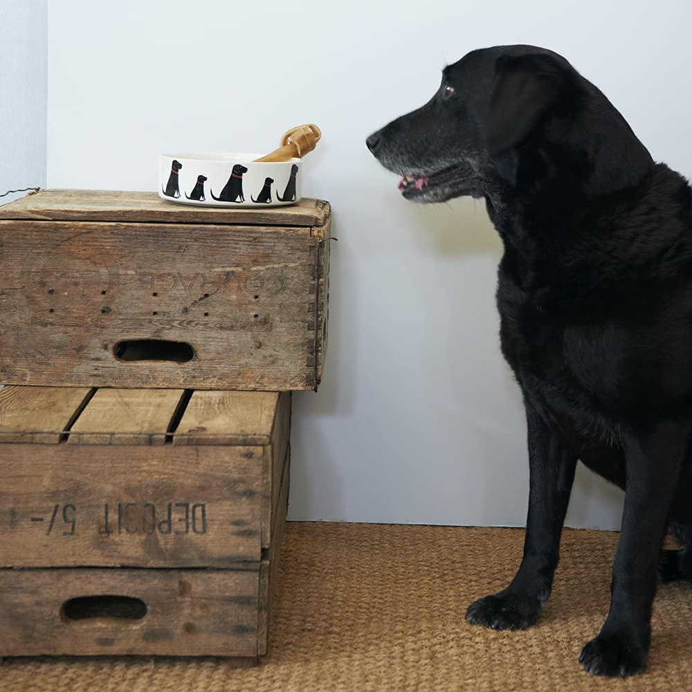 Grand Bol de Chien Labrador Noir