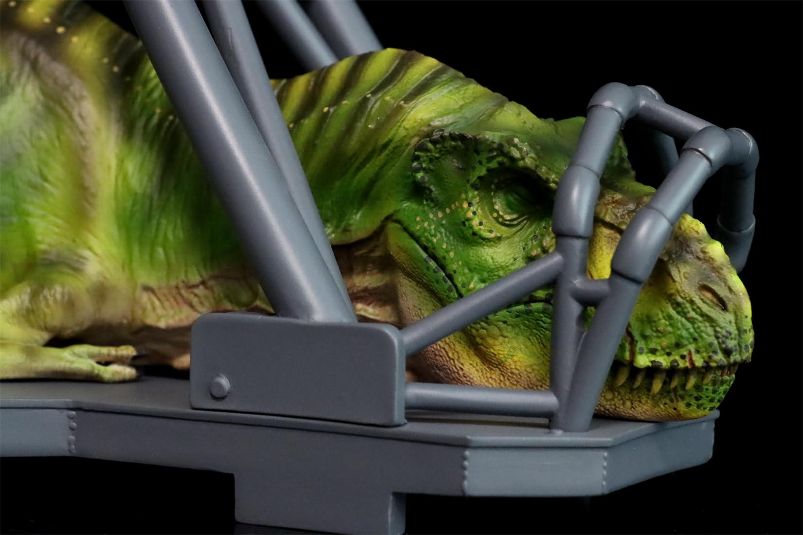 Amazon.com: WLNTDOLA: DINO DREAM